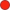 Dot icon